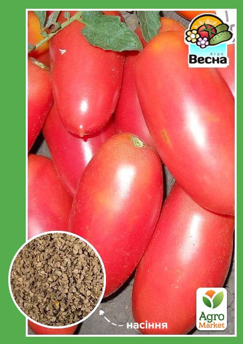 Томат Кибиц ТМ Весна 0.2г
Томат Кибиц ТМ Весна 0.2г