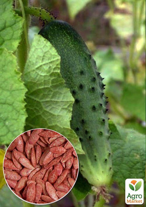 На развес Огурец Карат ТМ Весна цена за 1г
На развес Огурец Карат ТМ Весна цена за 1г