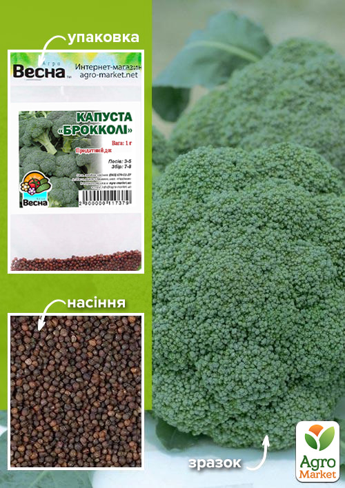 Капуста Брокколі (Зипер) ТМ Весна 1г
Капуста Брокколі (Зипер) ТМ Весна 1г