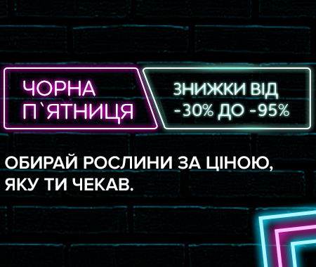 Чорна П’ятниця