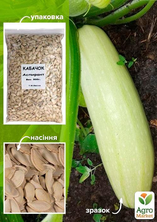 Кабачок Аспірант ТМ Весна 500г
Кабачок Аспірант ТМ Весна 500г