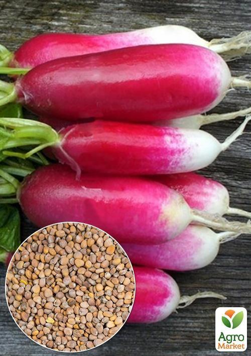 На вагу Редис Мила ТМ Весна ціна за 10г
На вагу Редис Мила ТМ Весна ціна за 10г