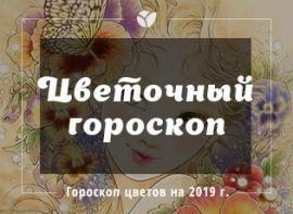 Квітковий гороскоп на 2019 рік