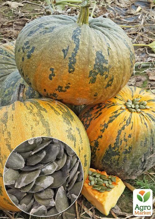На развес Тыква Голосеменная ТМ Весна цена за 10г
На развес Тыква Голосеменная ТМ Весна цена за 10г