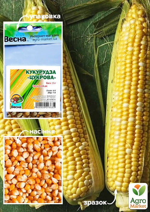 Кукуруза Сахарная (Зипер) ТМ Весна 15г
Кукуруза Сахарная (Зипер) ТМ Весна 15г