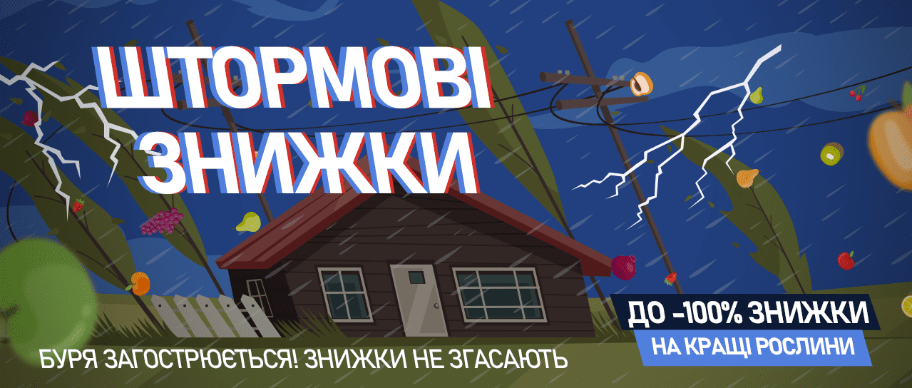 Штормові знижки