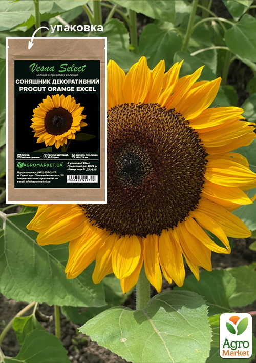 Соняшник декоративний Procut Orange Exel ТМ Vesna Select 20шт
Соняшник декоративний Procut Orange Exel ТМ Vesna Select 20шт