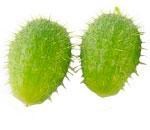 Семена декоративного огурца