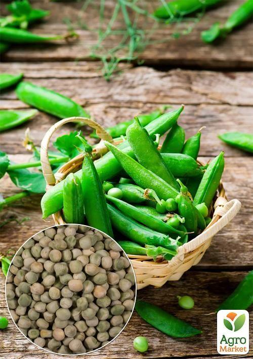 На вагу Горох овочевий Гарден ТМ Весна ціна за 50г
На вагу Горох овочевий Гарден ТМ Весна ціна за 50г