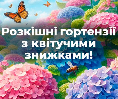 Розкішні гортензії з квітучими знижками!