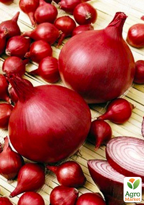 Цибуля-сіянка 1кг (арбажейка) Червоний Мексиканець (Україна)
Цибуля-сіянка 1кг (арбажейка) Червоний Мексиканець (Україна)