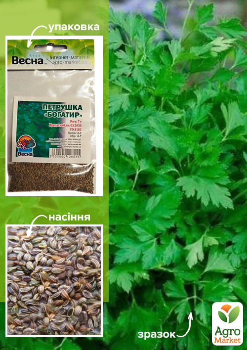 Петрушка Богатырь (Зипер) ТМ Весна 7г
Петрушка Богатырь (Зипер) ТМ Весна 7г