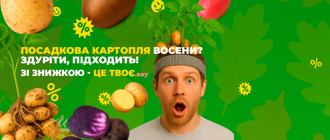 Посадкова картопля восени? Здуріти, підходить!