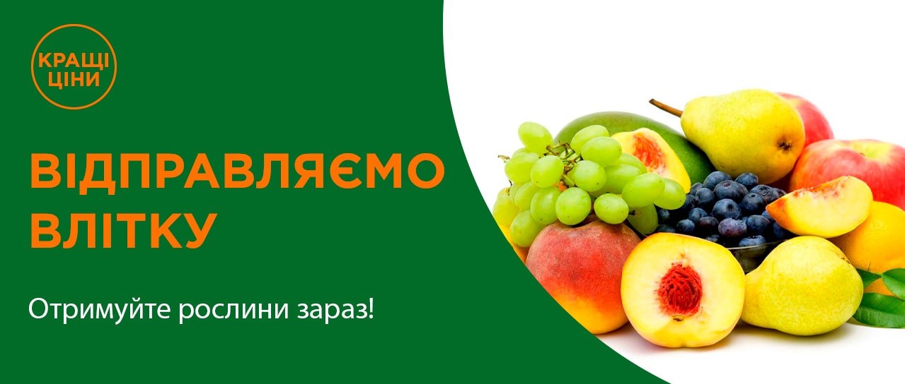 Рослинки, котрі відправляємо влітку!