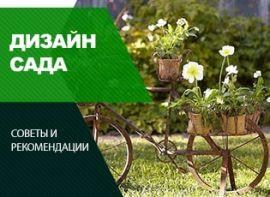 Велосипед, як декор саду - корисні статті про садівництво від Agro-Market