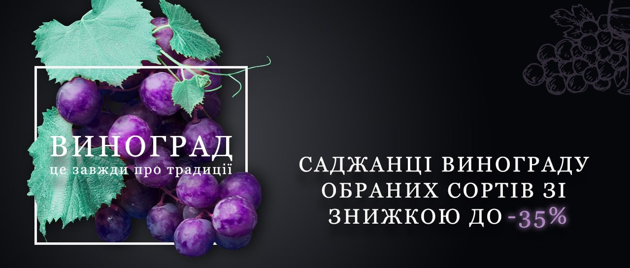 Виноградні традиції зі знижками 35%!