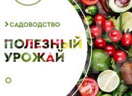 Органічне землеробство: з чого почати - корисні статті про садівництво від Agro-Market