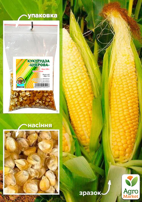 Кукуруза Сахарная ТМ Весна 100г
Кукуруза Сахарная ТМ Весна 100г