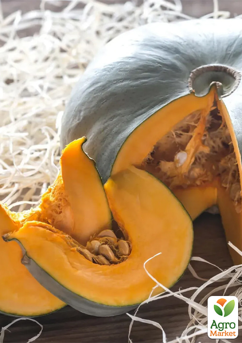 Гарбуз Блу Де Хонгрі ТМ Професійне насіння 10шт
Гарбуз Блу Де Хонгрі ТМ Професійне насіння 10шт