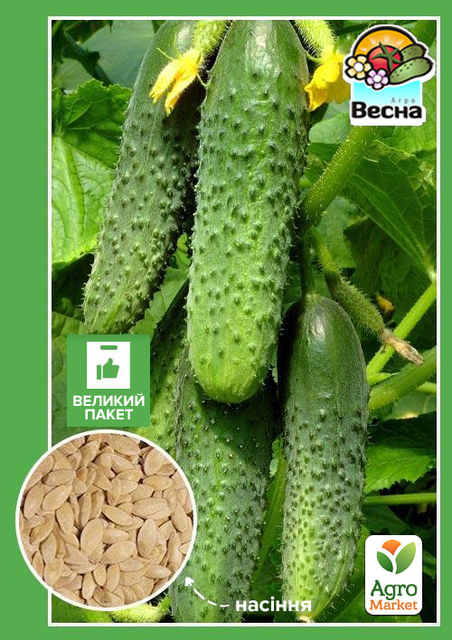 Огурец Феникс 640 (Большой пакет) ТМ Весна 2г
Огурец Феникс 640 (Большой пакет) ТМ Весна 2г