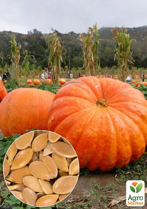 На развес Тыква Гигант ТМ Весна цена за 10г
На развес Тыква Гигант ТМ Весна цена за 10г