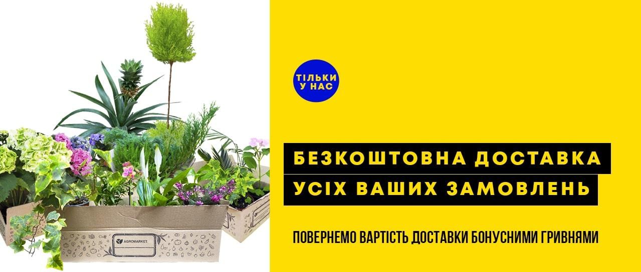 Безкоштовна доставка усіх замовлень