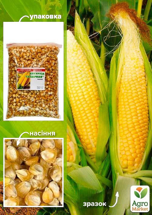 Кукуруза сахарная ТМ Весна 500г
Кукуруза сахарная ТМ Весна 500г