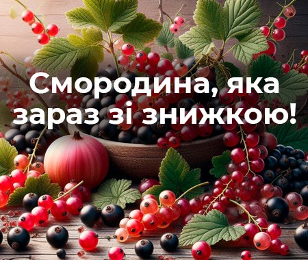 Соковита смородина зараз зі знижкою! 