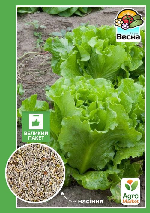 Салат Одесский кучерявец (Большой пакет) ТМ Весна 3г
Салат Одесский кучерявец (Большой пакет) ТМ Весна 3г
