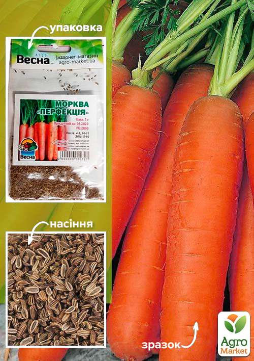 Морква Перфекція (Зипер) ТМ Весна 5г
Морква Перфекція (Зипер) ТМ Весна 5г