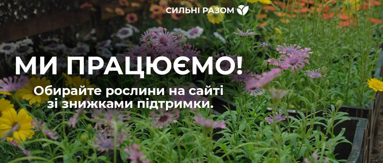 Знижка підтримки