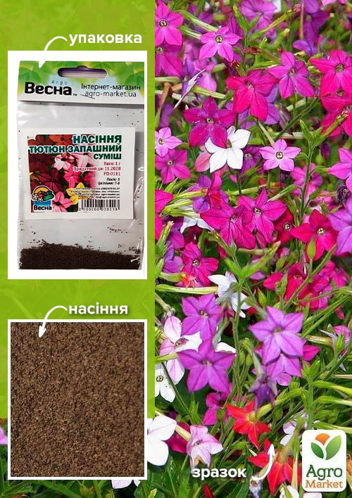 Насіння Тютюн запашний суміш (Зипер) ТМ Весна 1г
Насіння Тютюн запашний суміш (Зипер) ТМ Весна 1г