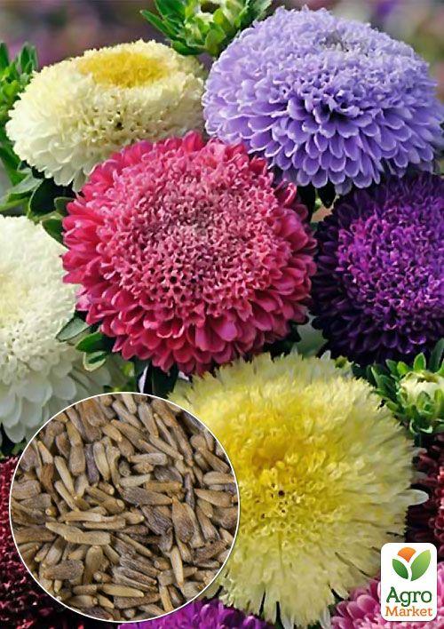 На вагу Айстра Принцеса суміш ТМ Весна ціна за 1,5г
На вагу Айстра Принцеса суміш ТМ Весна ціна за 1,5г