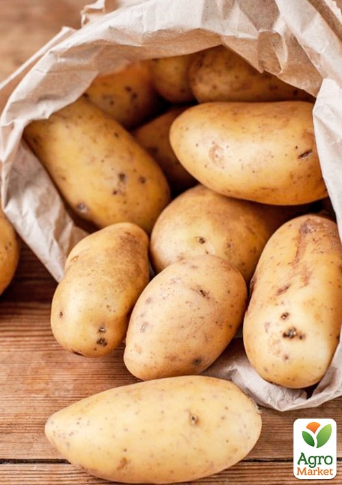 Картопля Міраж насіннєва середньорання (еліта) 1кг
Картопля Міраж насіннєва середньорання (еліта) 1кг