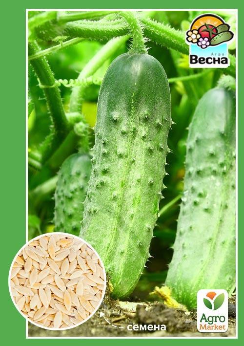 Огурец Цезарь F1 ТМ Весна 0.5г 
Огурец Цезарь F1 ТМ Весна 0.5г
