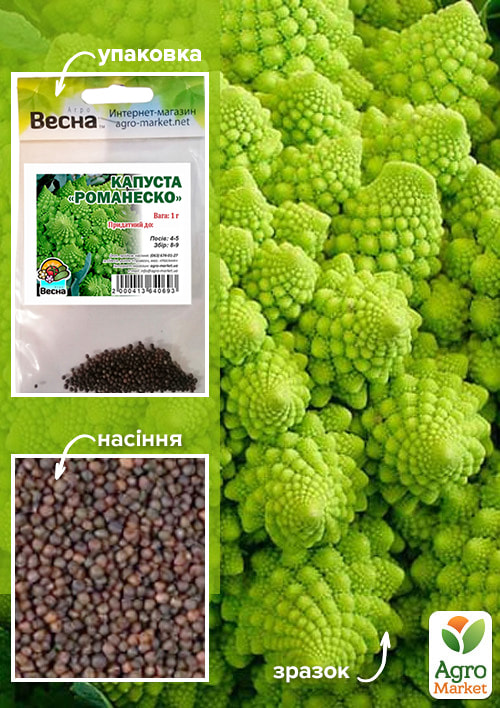 Капуста Романеско (Зипер) ТМ Весна 1г
Капуста Романеско (Зипер) ТМ Весна 1г