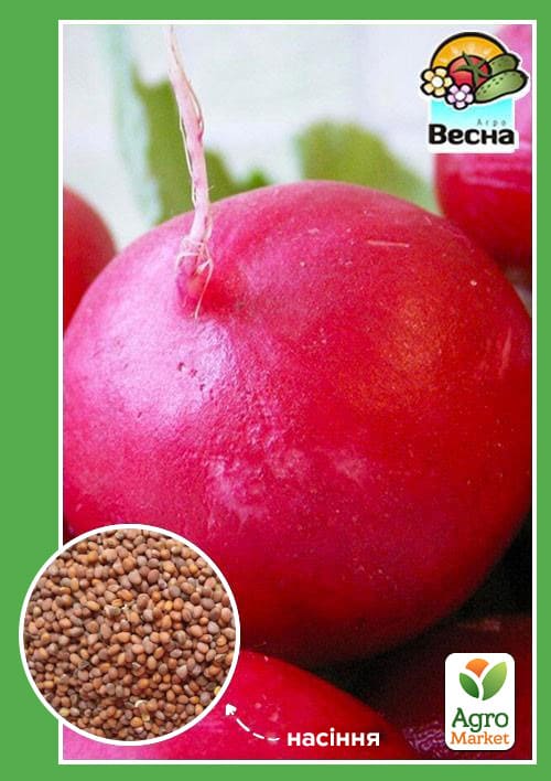 Редька Красная зимняя ТМ Весна 1г
Редька Красная зимняя ТМ Весна 1г