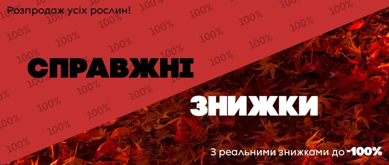 Справжні знижки на всі рослини до реальних -100%