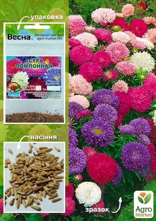 Айстра Помпона суміш забарвлень (Зипер) ТМ Весна 0,5г
Айстра Помпона суміш забарвлень (Зипер) ТМ Весна 0,5г