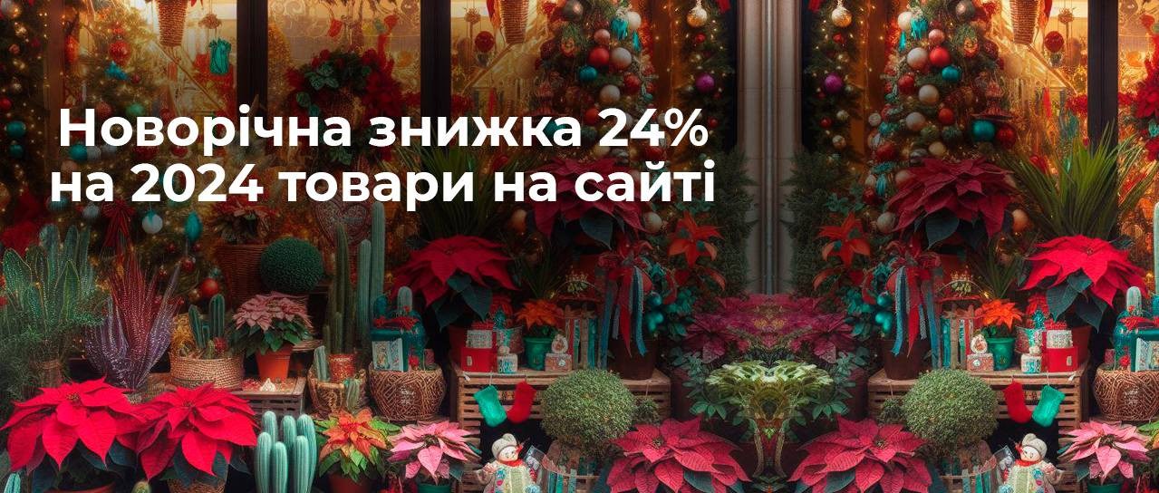 Справжня Новорічна знижка 24% на 2024 товари!