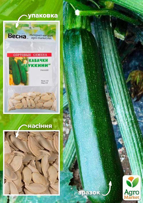 Кабачок Цукіні (Зипер) ТМ Весна 5г
Кабачок Цукіні (Зипер) ТМ Весна 5г