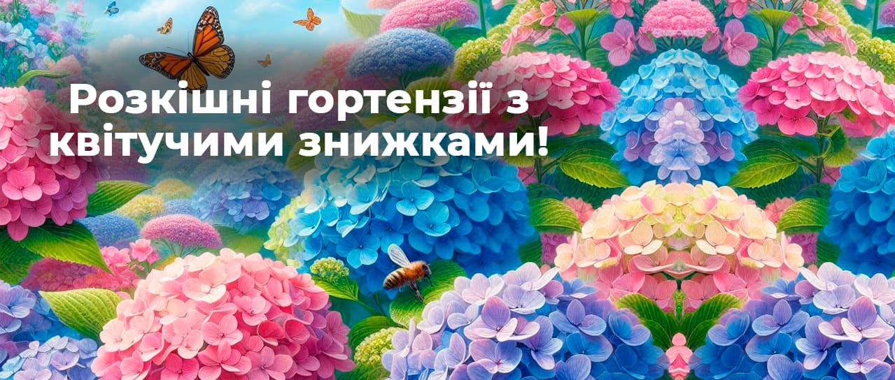 Розкішні гортензії з квітучими знижками!