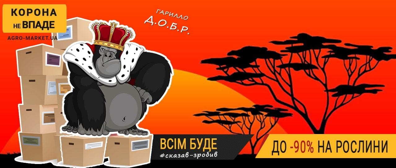 Гарилло Д.О.Б.Р до -90%