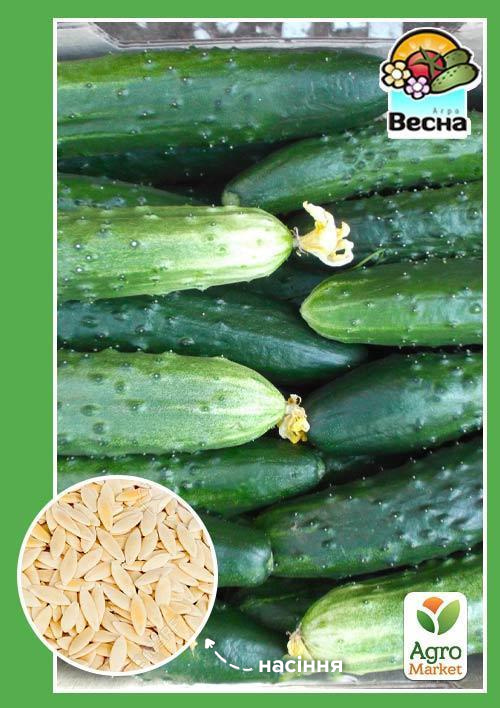 Огурец Король грядки F1 (Новый пакет) ТМ Весна 0.25г
Огурец Король грядки F1 (Новый пакет) ТМ Весна 0.25г