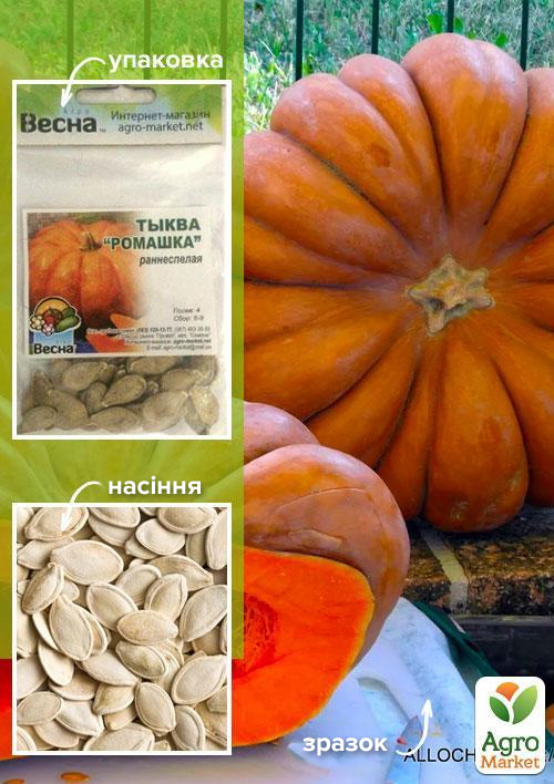 Гарбуз Ромашка (Зипер) ТМ Весна 5г
Гарбуз Ромашка (Зипер) ТМ Весна 5г