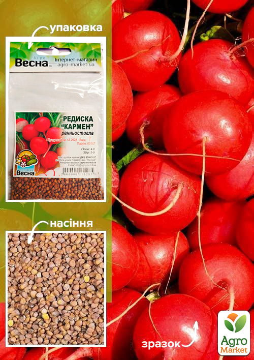 Редис Кармен (Зипер) ТМ Весна 7г
Редис Кармен (Зипер) ТМ Весна 7г