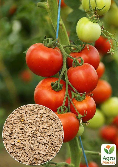 На вагу Томат Колгоспний ТМ Весна ціна за 2г
На вагу Томат Колгоспний ТМ Весна ціна за 2г