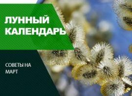 Місячний календар на березень 2021 - корисні статті про садівництво від Agro-Market