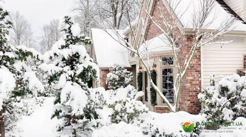 winter4-min.jpg winter4-min.jpg