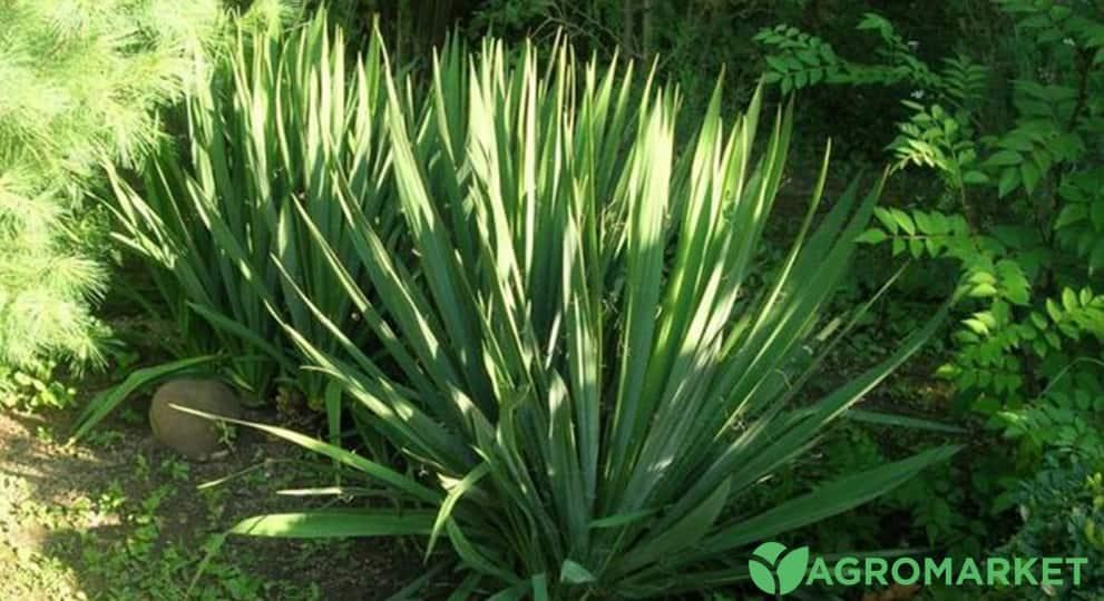 ykka2-min.jpg ykka2-min.jpg